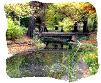 Dream Garden picture