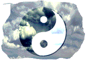 yin-yang icon